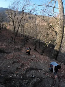 دیودره