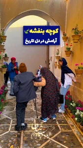 کوچه بنفشه