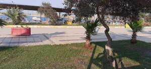 دریاچه مصنوعی پارک شهرداری ماهشهر 4