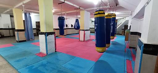 باشگاه ورزشی آرتین