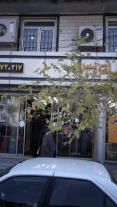 فرش پاتریس 2