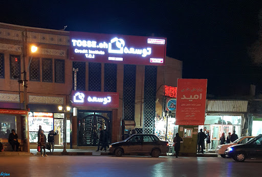 موسسه اعتباری توسعه