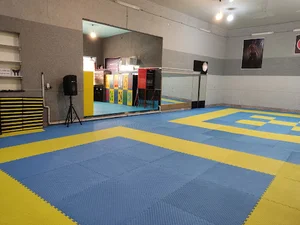 NinjaclubDojo