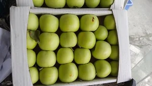میوه سرای خاطره 4