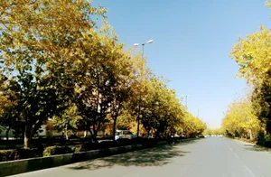میدان امام حسین (ع)