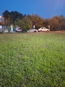 رستوران فجر