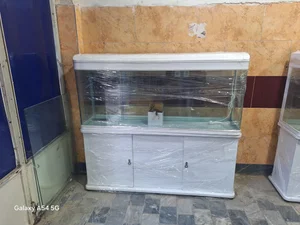 اکواریوم مرکزی گرگان 2