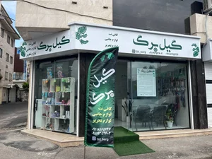 کافی نت گیل برگ 2
