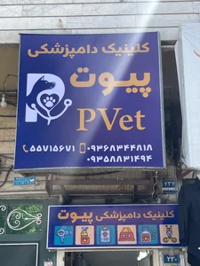 کلینیک دامپزشکی پیوت | PVet Veterinary Clinic 5