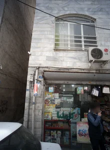 کاملیا 2