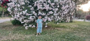بوستان نماز 4