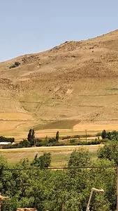 علی آباد