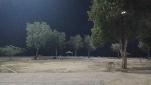 پارک ولایت 2