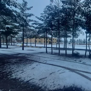 مدرسه نمونه دولتی امام سجاد
