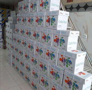 کاغذ A4 آفرید