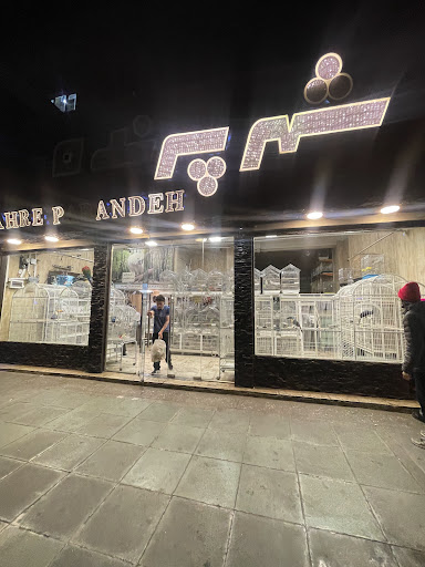 فروشگاه شهر پرنده