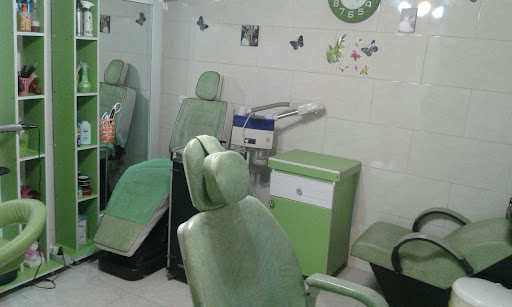 آرایشگاه زنانه گل نرگس( عج )