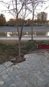 بوستان ساحلی درچه