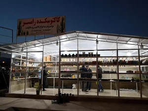 کاکتوسکده رامسر لاریجانی
