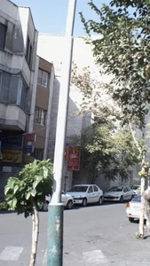 آموزشگاه موسیقی دامون