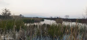 استخر طبیعی نرکه بزرگ