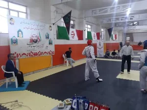 خانه تکواندو 4