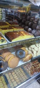 نان فانتزی اقاقیا 2