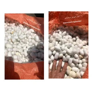 شرکت تعاونی کشاورزی نوغانداران درگز