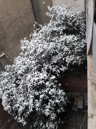 بوستان ناظمی