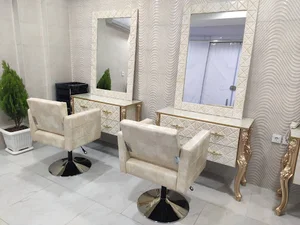 زیباکده ساینا