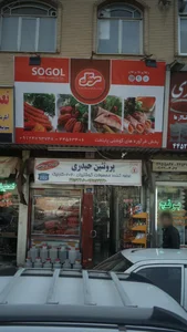 پروتئین حیدری
