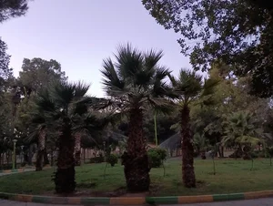 سرویس بهداشتی بوستان طبیعت