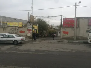 باربری زمرد 3