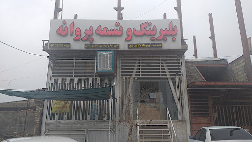 بلبرینگ وتسمه پروانه میرزاده