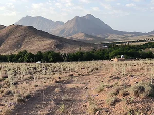 علی آباد مور