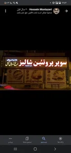 پروتئین شالیز 2