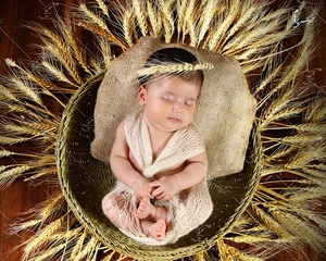 Parham Photo Studio
