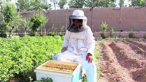 فروشگاه عسل ارگانیک رفیعی