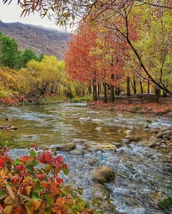 عکس و فیلم تصویرآشنا