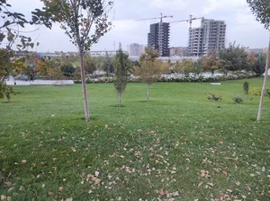پارکینگ بوستان چهل بازه