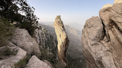 Al Mehfar Park