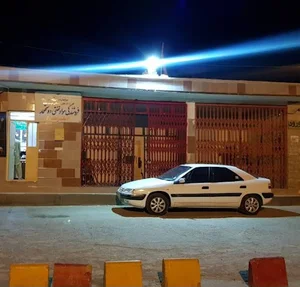 پمپ بنزین وحیدکارتون