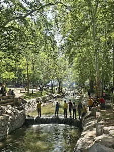 بوستان وکیل آباد