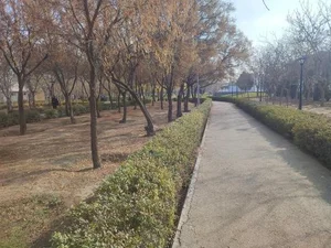 بوستان ارم 5