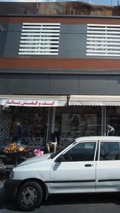 کیف و کفش پاناز