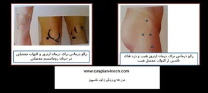 موسسه تحقیقات حجامت ایران