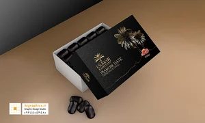 تبلیغ گستران پایتخت