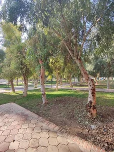 بوستان امید 2