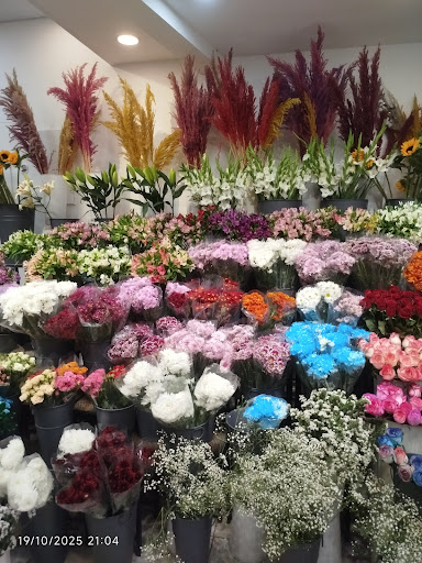 گل فروشی پامچال