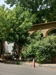 کافه رستوران چای بار 3